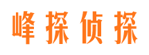 东区市调查公司